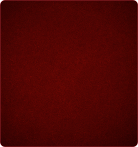 Contact Pic Image